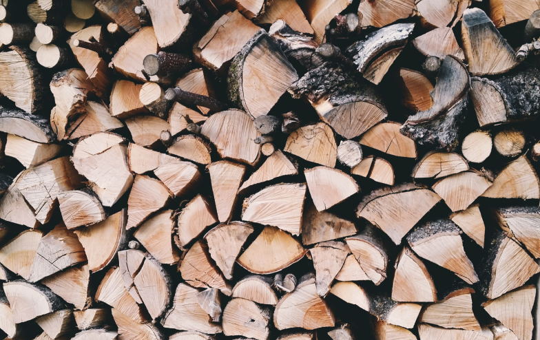Těžba a zpracování dřeva